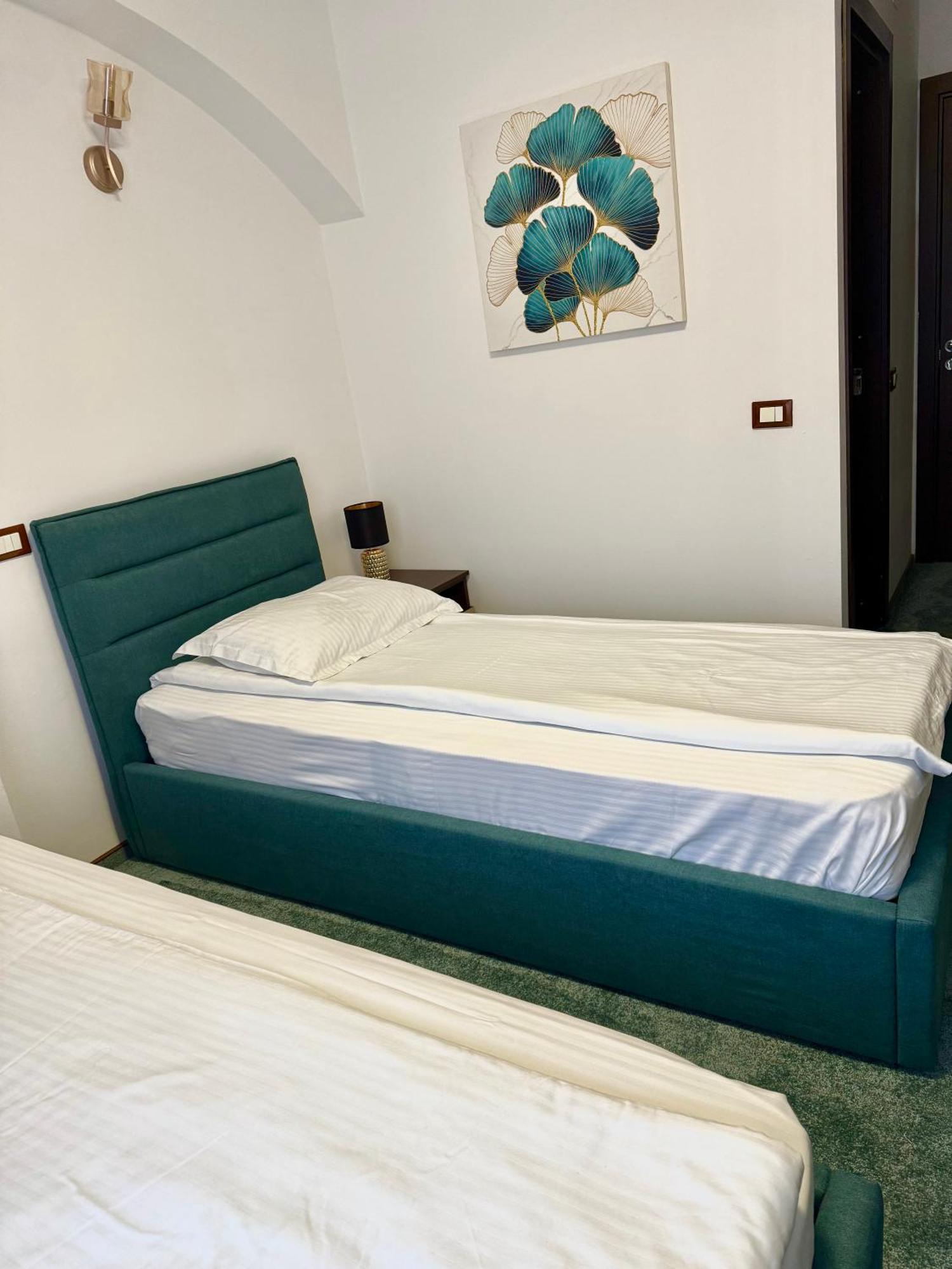 Târgu Jiu Hotel Palace מראה חיצוני תמונה